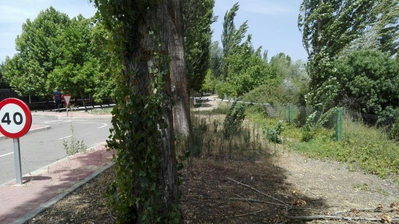 Foto Ayuntamiento de Benavente