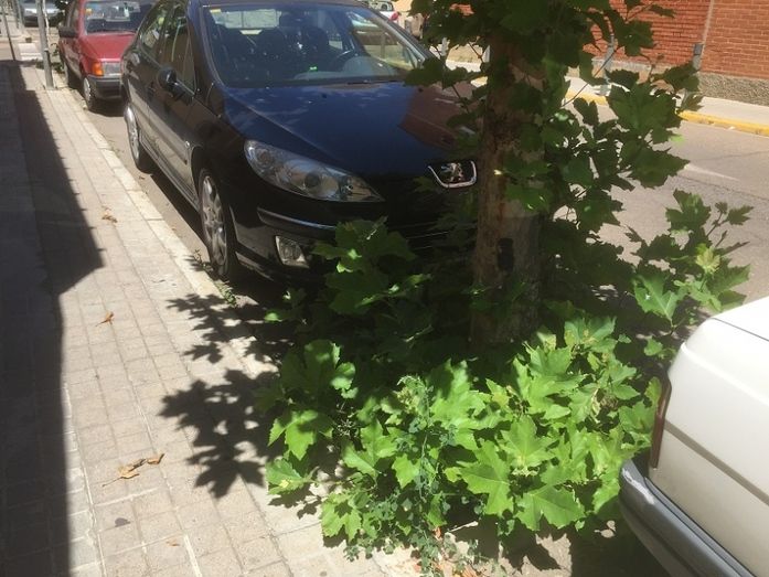 Foto Partido Popular Benavente