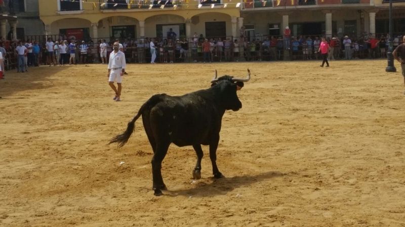 Foto: Luis Fernández