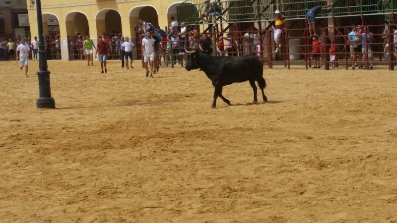 Foto: Luis Fernández