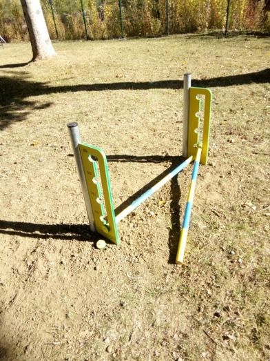 Foto Ayuntamiento de Benavente