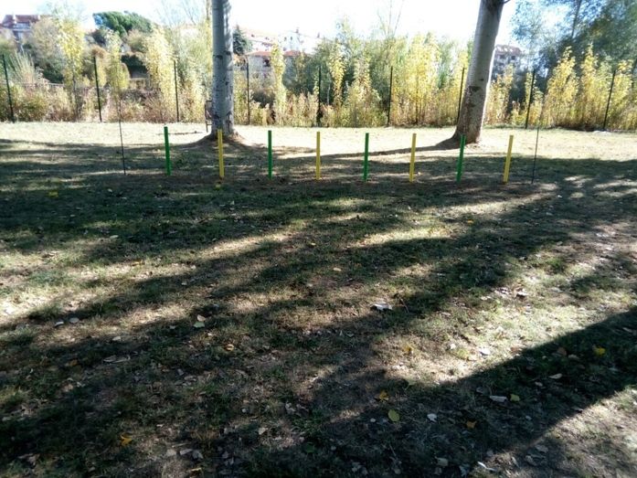 Foto Ayuntamiento de Benavente