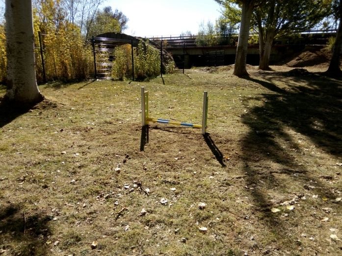 Foto Ayuntamiento de Benavente