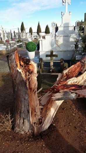 Foto Ayuntamiento de Benavente