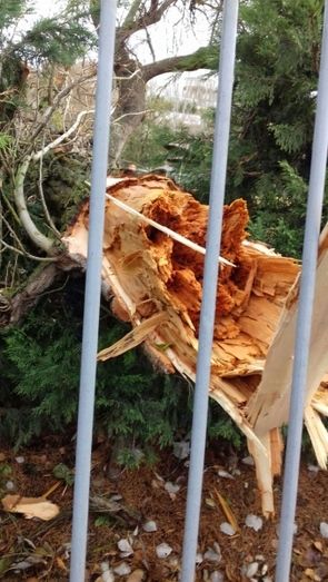 Foto Ayuntamiento de Benavente