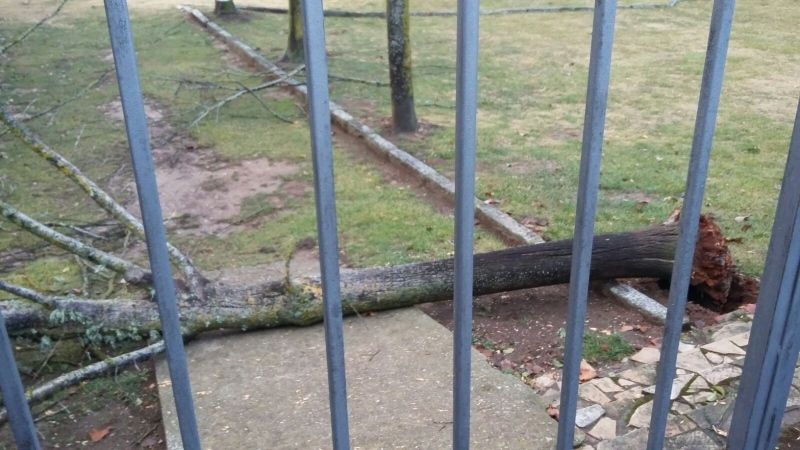 Foto Ayuntamiento de Benavente