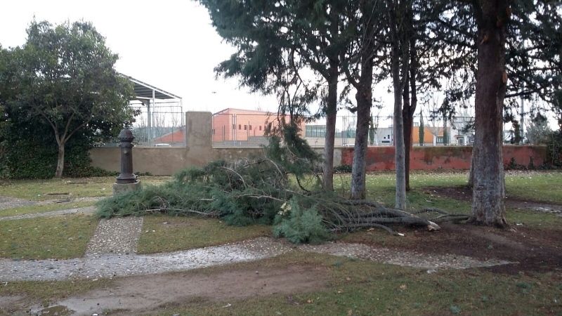 Foto Ayuntamiento de Benavente