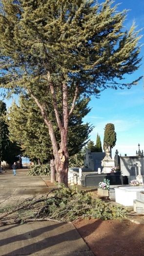 Foto Ayuntamiento de Benavente