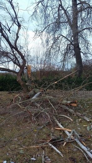 Foto Ayuntamiento de Benavente