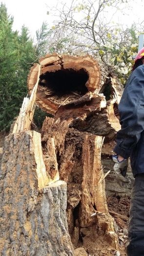 Foto Ayuntamiento de Benavente