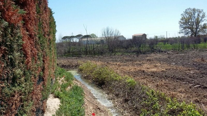 Foto Ayuntamiento de Benavente