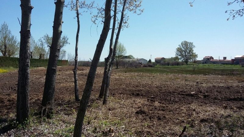 Foto Ayuntamiento de Benavente