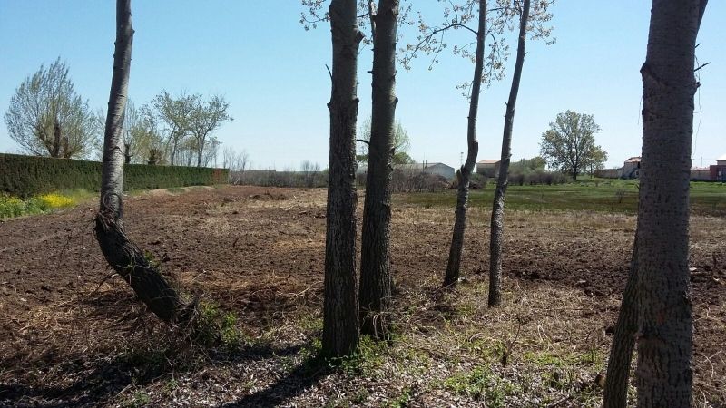 Foto Ayuntamiento de Benavente