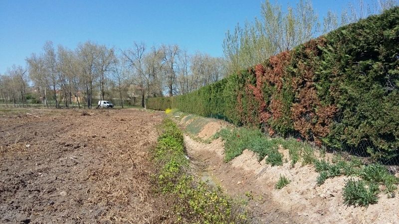 Foto Ayuntamiento de Benavente