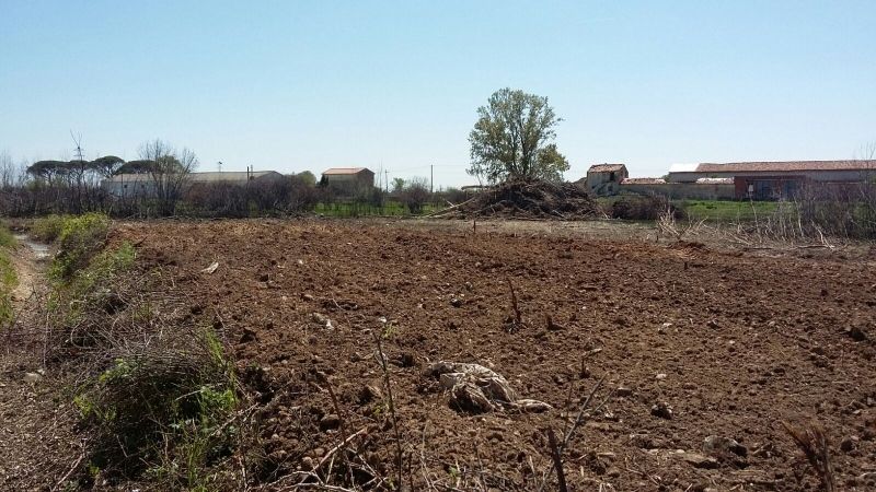 Foto Ayuntamiento de Benavente