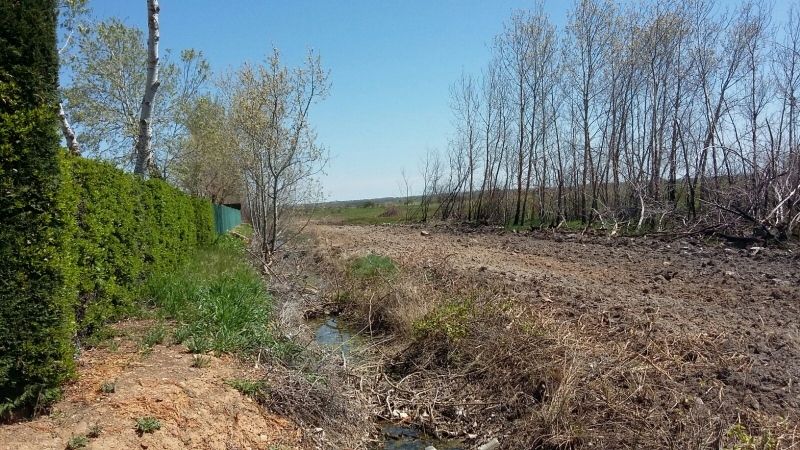 Foto Ayuntamiento de Benavente