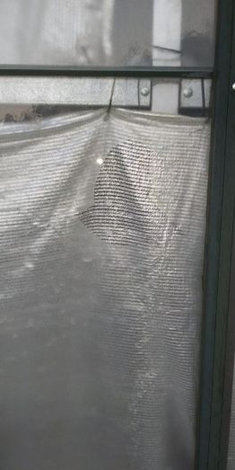 Foto Ayuntamiento de Benavente