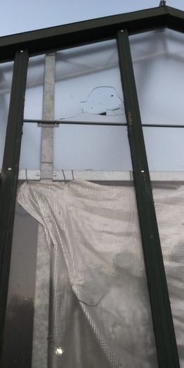 Foto Ayuntamiento de Benavente